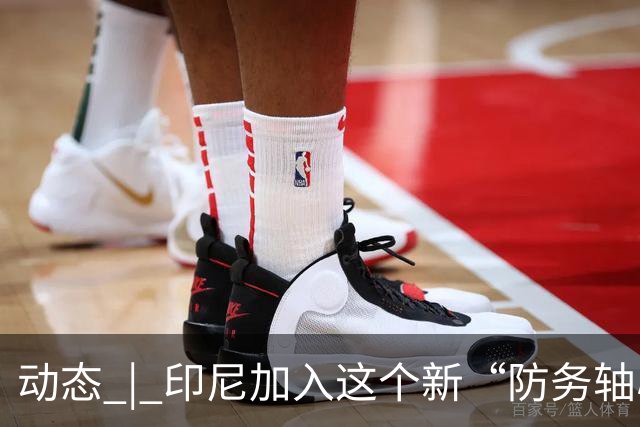 动态 | 印尼加入这个新“防务轴心”，印度深感恐慌！